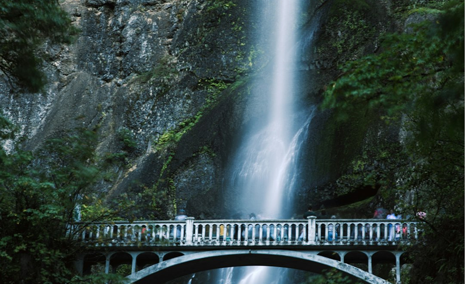 Waterfall & Forest Trail